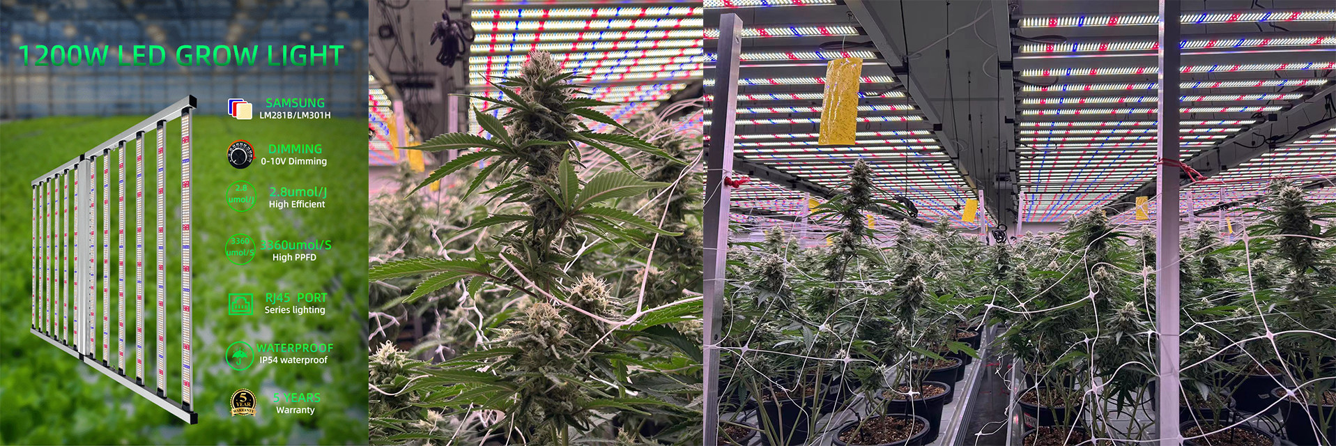 calidad Espectro completo llevado para crecer ligero fábrica