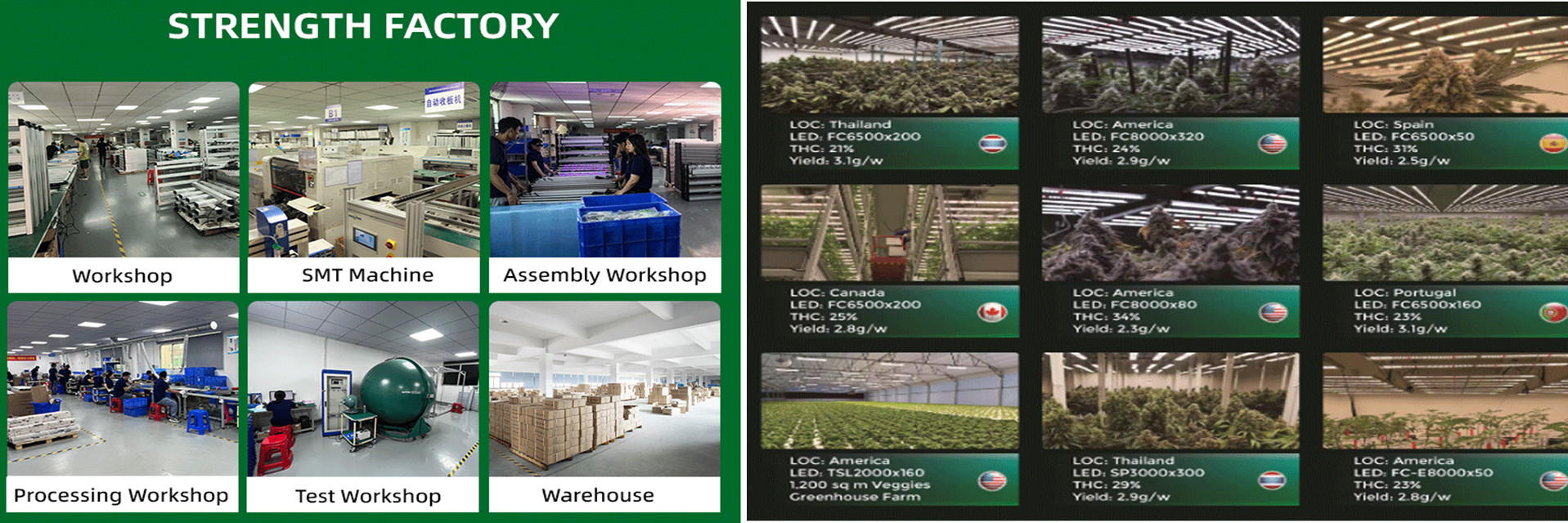 calidad Espectro completo llevado para crecer ligero fábrica